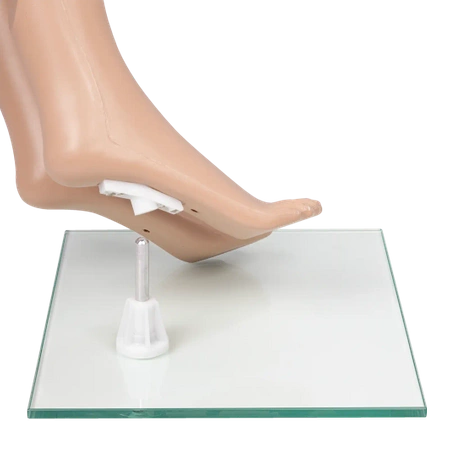 Manekin damskie nogi całe ekspozytor na spodnie kolor cielisty MAFT3-CIE